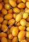 Sweet yellow marian plum