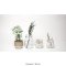 เซต ขวดโหล Mason Jar