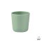 Silicone glass - Frosty Green
