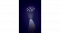 โคมไฟอัตโนมัติ Pixie Star Wall night light with star projector GREY/BLUE