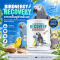 Randolph Birdnergy Recovery – อาหารฟื้นฟูนก โปรตีนและพลังงานสูง 283.5 กรัม
