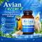 Avien Enzyme 100 กรัม  โพรไบโอติกส์และเอนไซม์ สำหรับนกและสัตว์ปีก
