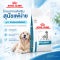 Royal Canin Anallergenic Dog (3 kg) – Therapeutic dry dog ​​food for the management and diagnosis of food allergies.