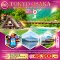 helloholidaytrip ทัวร์โตเกียว ทัวร์โอซาก้า ทัวร์ญี่ปุ่น