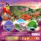 helloholidaytrip