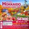helloholidaytrip