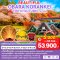 helloholidaytrip