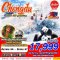 ทัวร์จีน เฉินตู helloholidaytrip