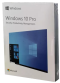 Microsoft Windows 10 Pro FPP (USB)