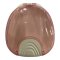 กล่องรีเทนเนอร์ (รูปหอย) retainer Box Shell design