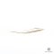 GOYARD SULPICE CARD SHORT WHITE CANVAS