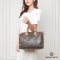 LOUIS SPEEDY 30 MONOGRAM