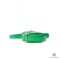 BOTTEGA CASSETTE MINI GREEN BIG STRIP GHW