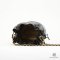 CHANEL BUCKET 6 BLACK LAMB GHW