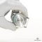 GUCCI WOLF STRAP 3 COLOR 38 MM RED WHITE NAVY NYLON SHW