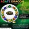 Agate Dragon Collection 5