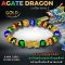 Agate Dragon Collection 1