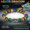 Agate Dragon Collection 1