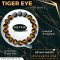 Tiger Eye Collection 1