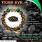 Tiger Eye Collection 2