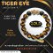 Tiger Eye Collection 4