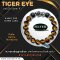 Tiger Eye Collection 4