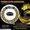 Tiger Eye dragon Collection 1