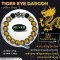 Tiger Eye dragon Collection 2