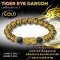 Tiger Eye dragon Collection 1