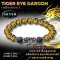 Tiger Eye dragon Collection 1