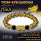 Tiger Eye dragon Collection 2