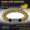 Tiger Eye dragon Collection 2