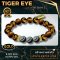 Tiger Eye Collection 1