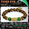 Tiger Eye Collection 2