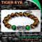 Tiger Eye Collection 2