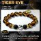 Tiger Eye Collection 3