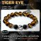 Tiger Eye Collection 3