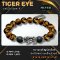 Tiger Eye Collection 4