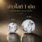 Howlite (ฮาวไลท์)  1 เม็ด