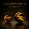 Tiger Eye (ไทเกอร์อาย) 1 เม็ด