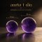 Amethyst (อเมทิส) 1 เม็ด
