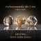 Three Rutilated Quartz (สามไหมคอลเลคชั่น)) ขนาด 8&10 มิล 1 เม็ด(copy)