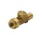 Chlorine Header Valve