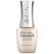 ARTISTIC COLOUR GLOSS (GLISTEN)