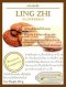 เห็ดหลินจืออบแห้ง (Lingzhi)