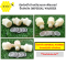 ข้อต่อนำ้เข้าเกลียวนอก+ฟิลเตอร์ปั๊มอัดฉีด IMPERIAL WASHER