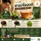 ชาแก้แฮงค์-Hangover Tea