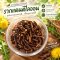 รากแดนดิไลออน-Dandelion root