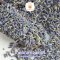 ชาดอกไม้ ลาเวนเดอร์-Lavender