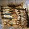 Ikan Asin Peda Merah / Salted Mackerel Fish 250 gram